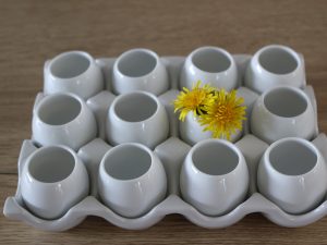 Alvéoles et coquilles