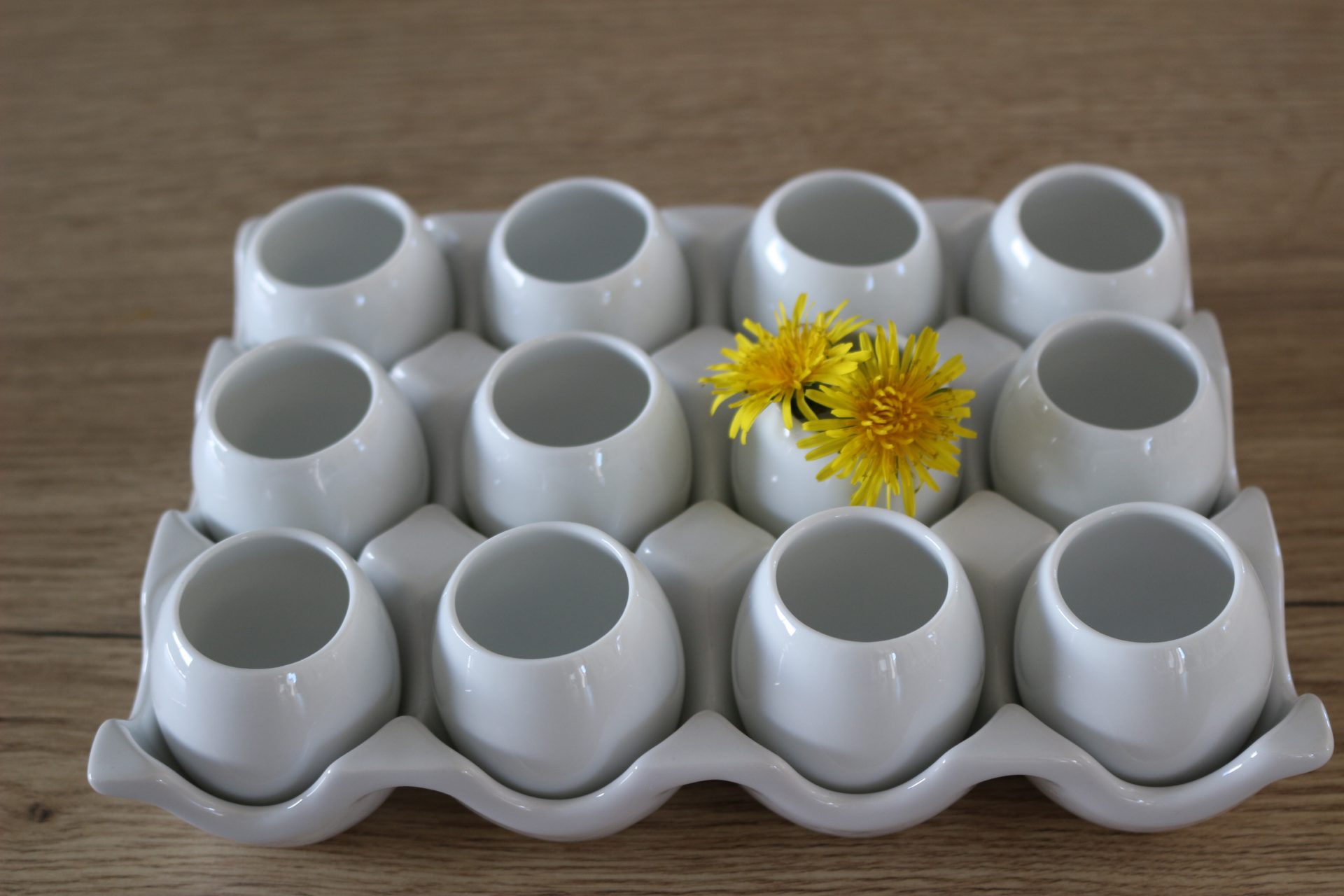 Alvéoles et coquilles en porcelaine blanche