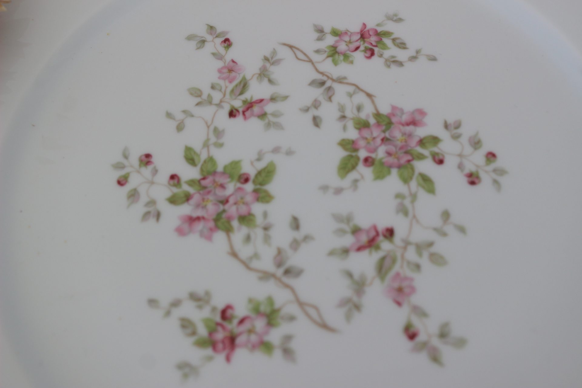 Plat rond Limoges – Image 7